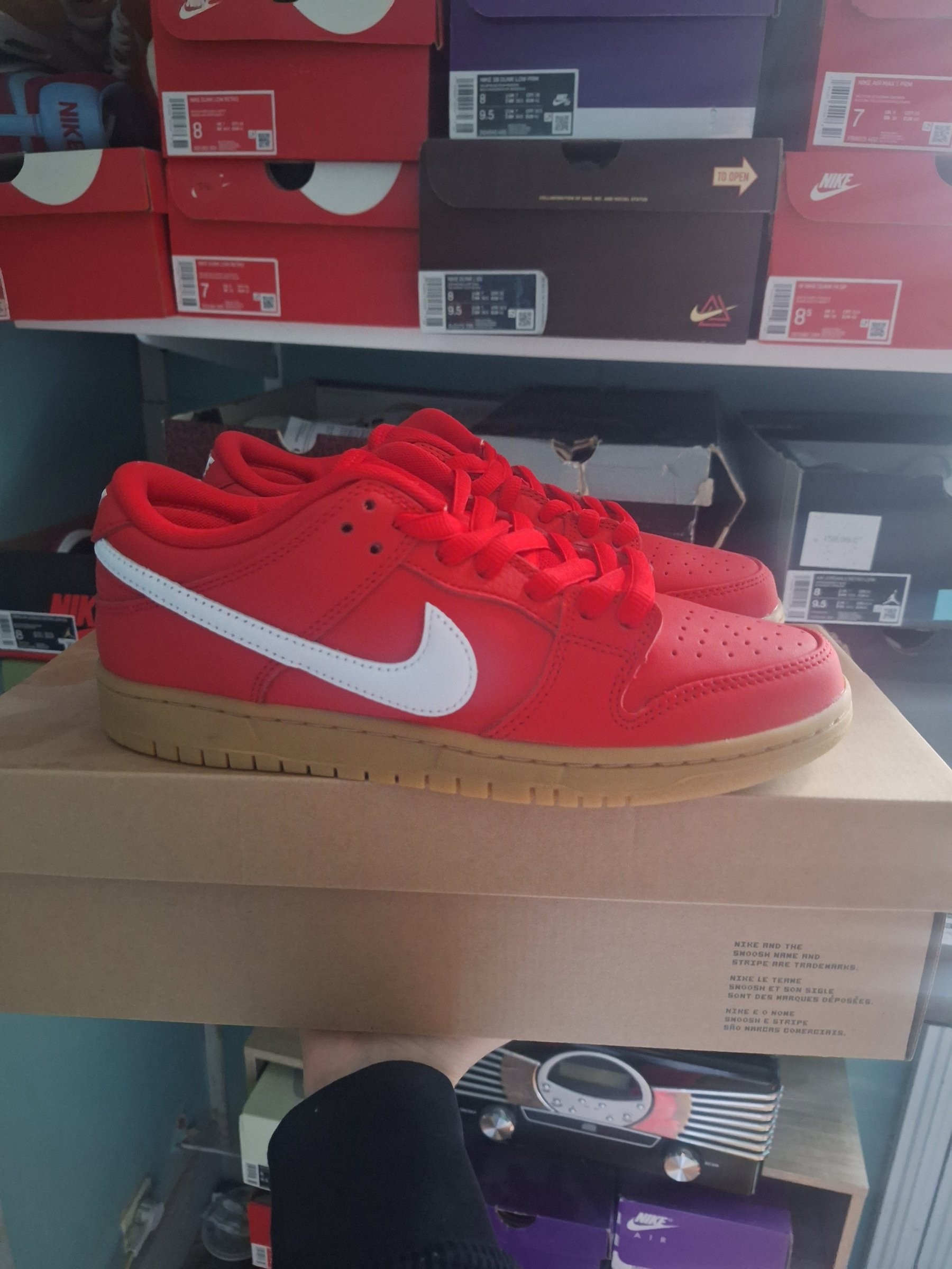 Photo de Nike SB Dunk Low Pro university red University Red/White Gum