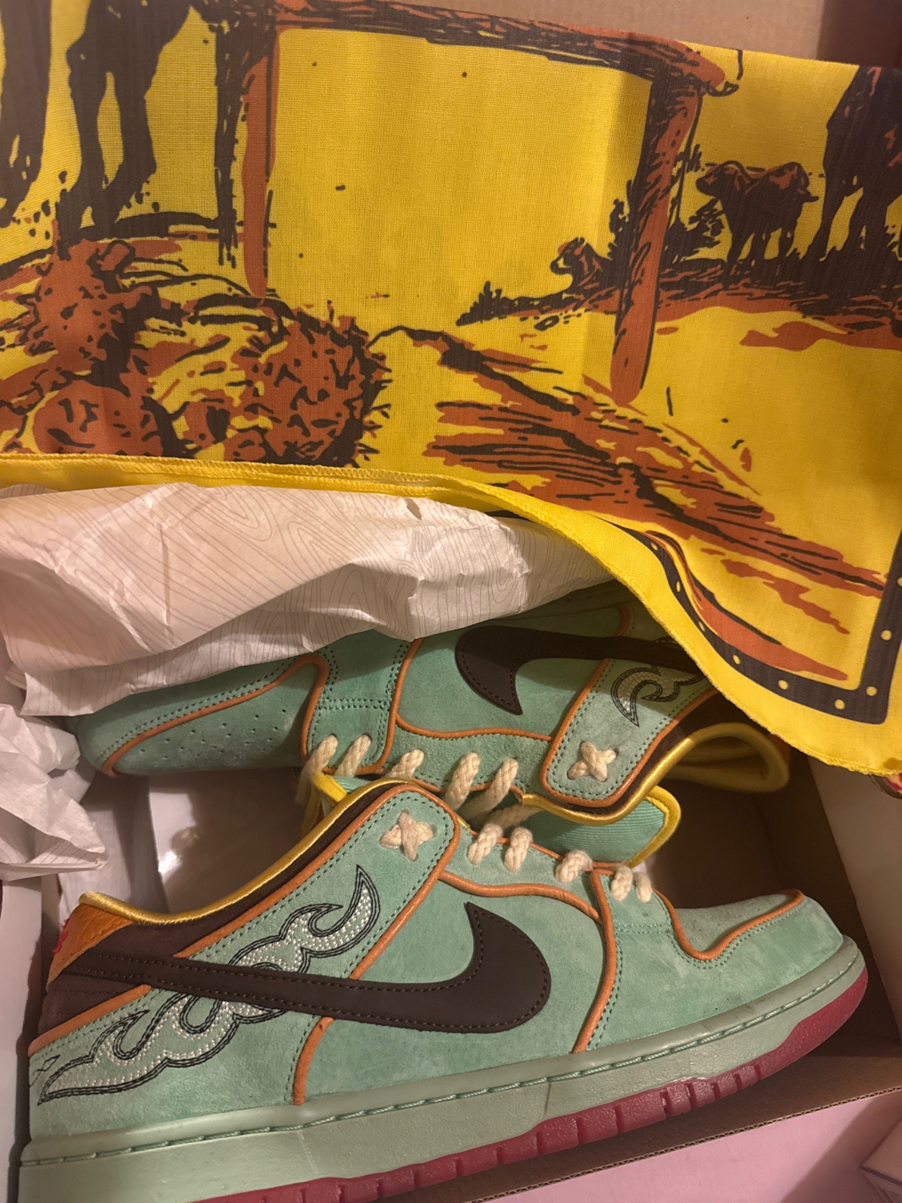 Photo de Nike SB Dunk Low Rodeo Tourmaline