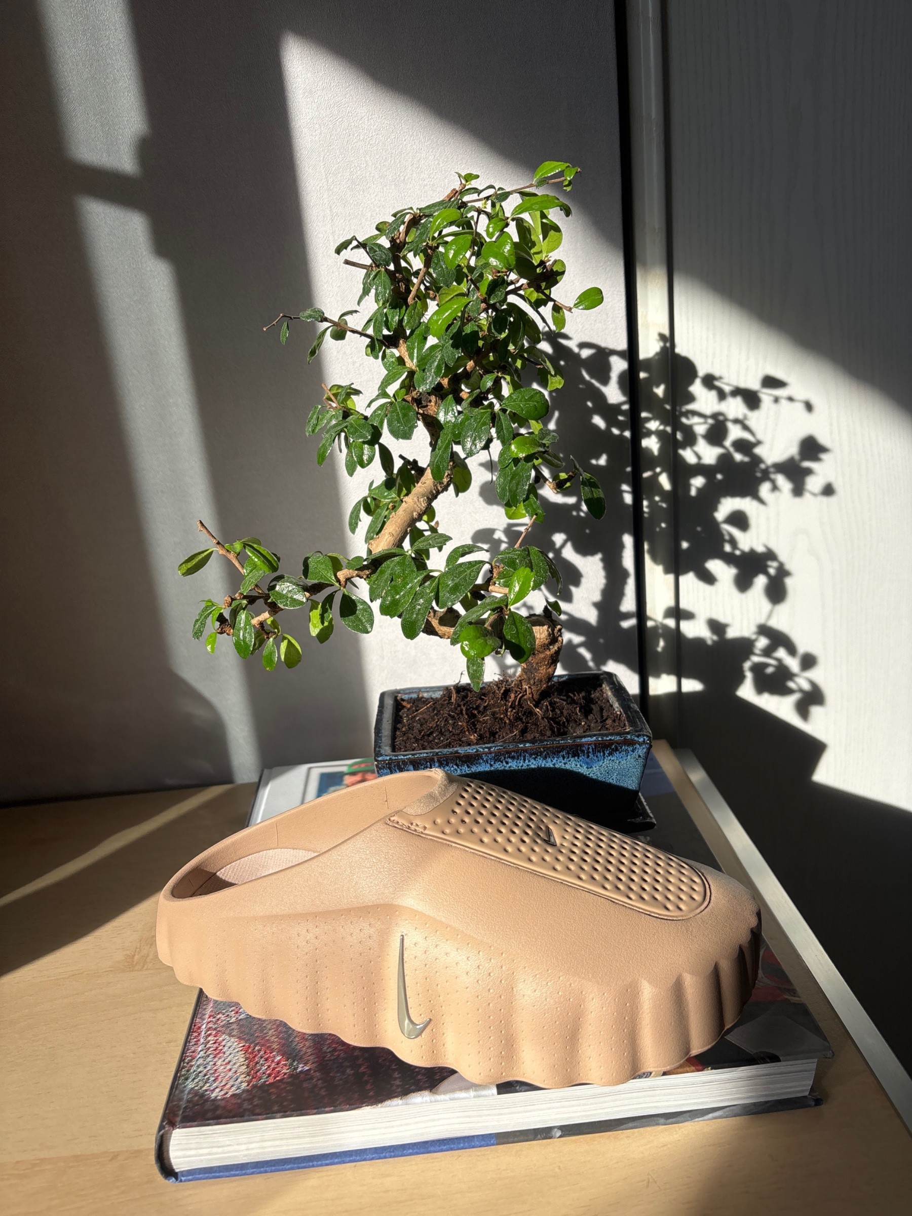 Photo de Nike Mind 001 Hemp/Hemp-Ironstone