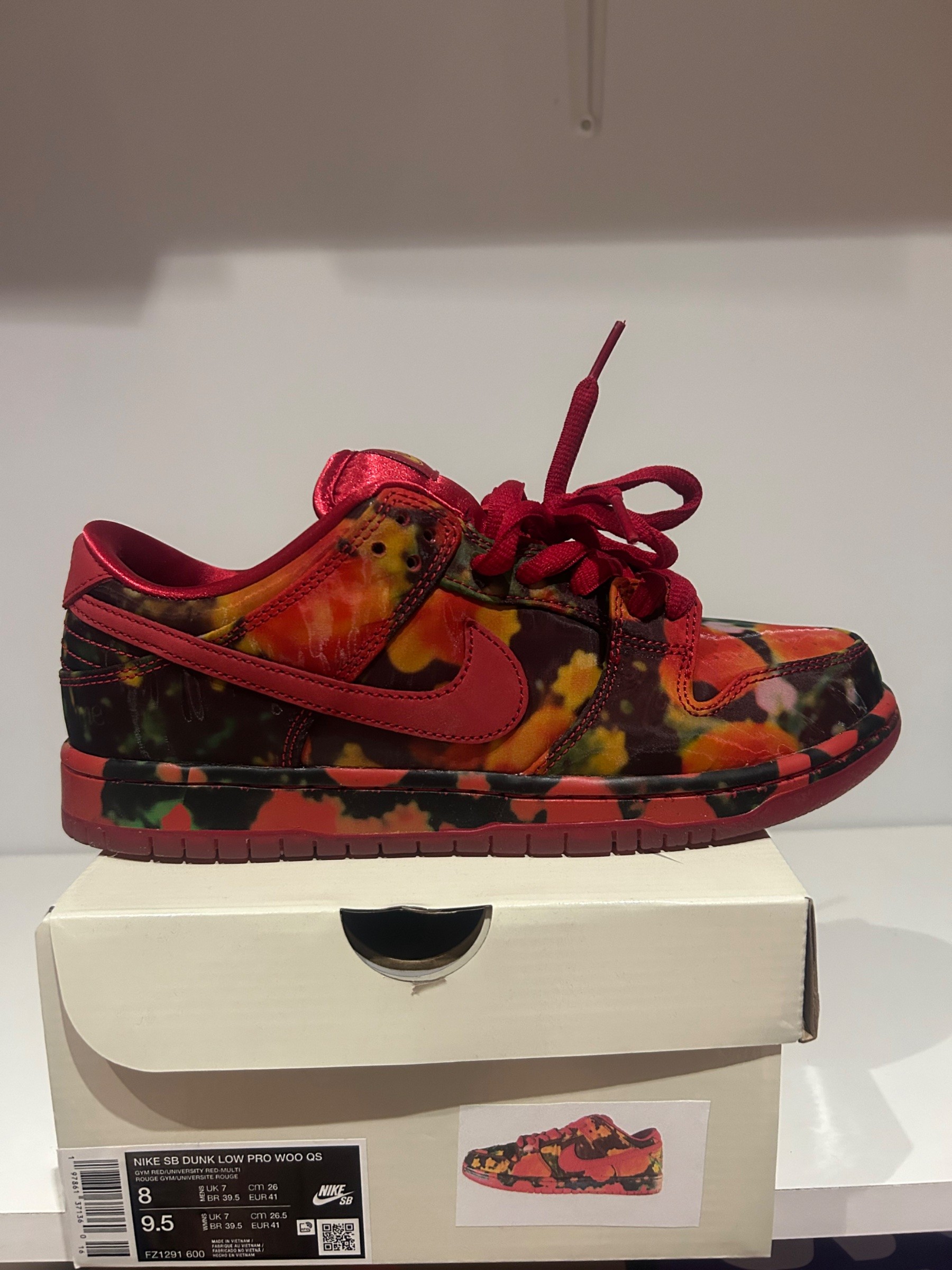 Photo de Nike SB Dunk Low The Wizard of Oz Poppy Field